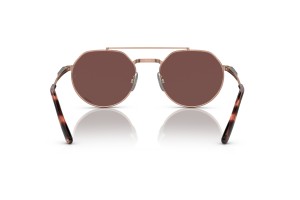 Ray-Ban RB8265 Jack II titán, Rose Gold, Dark Violet