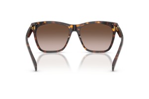 Ralph Lauren RL8212 The Ricky II - Havana Brown