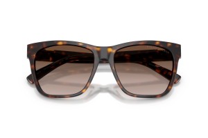 Ralph Lauren RL8212 The Ricky II - Havana Brown