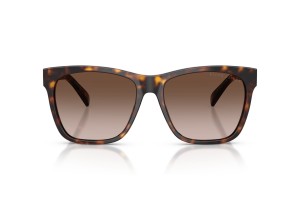 Ralph Lauren RL8212 The Ricky II - Havana Brown