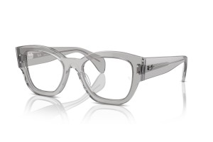 Ray-Ban RX7681V JORGE Transparent Grey - demo lencse