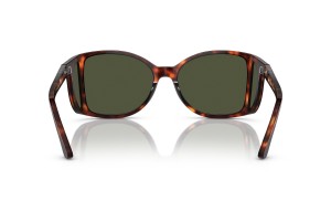 Persol PO0005 24/31 Havana Green napszemüveg