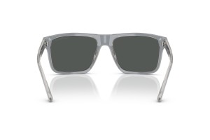 Emporio Armani EA4232 Iridescent Grey Smoke