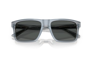 Emporio Armani EA4232 Iridescent Grey Smoke