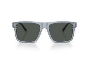 Emporio Armani EA4232 Iridescent Grey Smoke