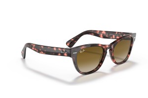 Ray-Ban RB2201 Laramie Pink Havana napszemüveg