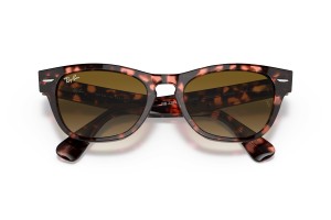 Ray-Ban RB2201 Laramie Pink Havana napszemüveg