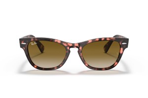 Ray-Ban RB2201 Laramie Pink Havana napszemüveg