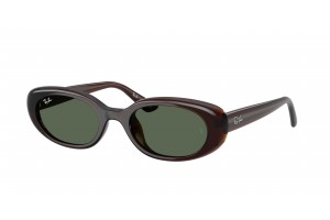 RAY-BAN RB4441D 714/71 Transparent Brown Dark Green napszemüveg