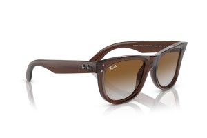 Ray-Ban RBR0502S Wayfarer Reverse átlátszó barna