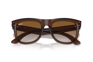 Ray-Ban RBR0502S Wayfarer Reverse átlátszó barna