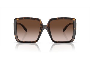TIFFANY TF4212U 80153B Havana barna napszemüveg