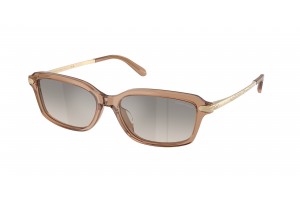 RALPH LAUREN RL8245U 637708 Transparent Dusty Brown Grey Gradient Flash napszemüveg
