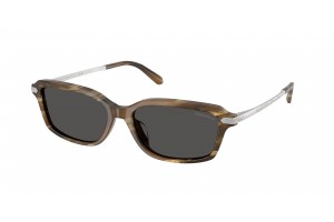 RALPH LAUREN RL8245U 637887 Brown Oystershell Grey napszemüveg