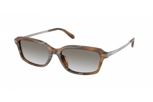 RALPH LAUREN RL8245U 637911 Amber Oystershell Gradient Grey napszemüveg