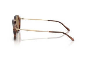 Giorgio Armani AR6190 Stripped Brown napszemüveg