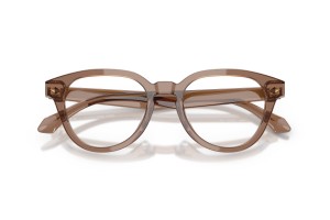 Giorgio Armani AR7296U 6469 - átlátszó mink barna