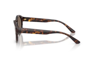 Giorgio Armani AR8146 Dark Havana napszemüveg