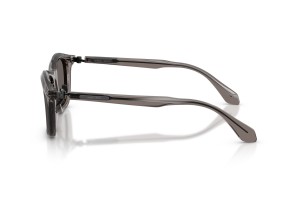 Giorgio Armani AR8257 6423B1 transparent sötétszürke