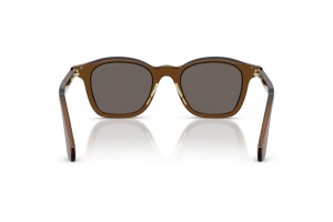 Giorgio Armani AR8257 - Transparent Dark Brown napszemüveg