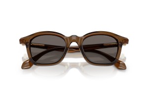 Giorgio Armani AR8257 - Transparent Dark Brown napszemüveg