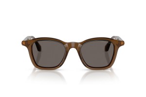 Giorgio Armani AR8257 - Transparent Dark Brown napszemüveg