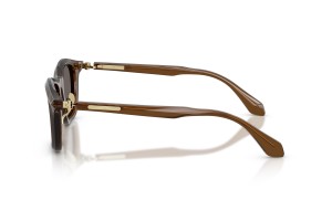 Giorgio Armani AR8257 - Transparent Dark Brown napszemüveg