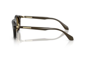 Giorgio Armani AR8258 napszemüveg – áttetsző zöld / sötétbarna