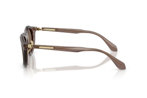 Giorgio Armani AR8258 transparent barna napszemüveg