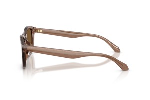 Giorgio Armani AR8266U 646973 – átlátszó mink barna