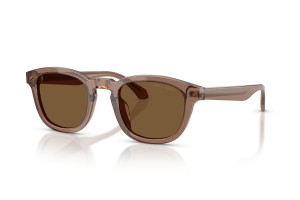 Giorgio Armani AR8266U 646973 – átlátszó mink barna