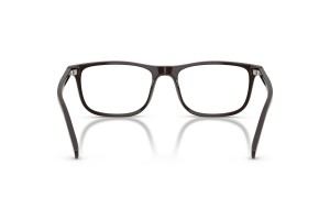 EMPORIO ARMANI EA3287 Shiny Brown