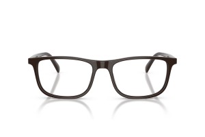 EMPORIO ARMANI EA3287 Shiny Brown