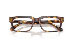 EMPORIO ARMANI EA3293U 5993 - Shiny Havana Brown (demo)