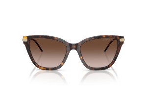 EMPORIO ARMANI EA4251 Shiny Havana napszemüveg