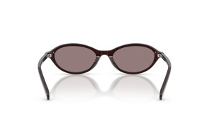 EMPORIO ARMANI EA4281U Opal Brown Dark Purple napszemüveg