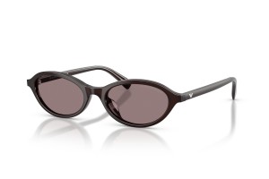 EMPORIO ARMANI EA4281U Opal Brown Dark Purple napszemüveg