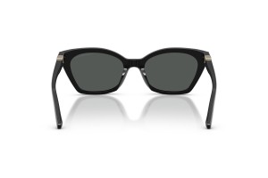 Emporio Armani EA4284U – fényes fekete, sötétszürke