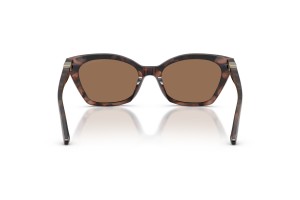 Emporio Armani EA4284U Shiny Havana napszemüveg