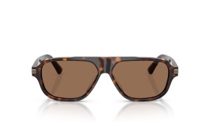 Emporio Armani EA4285U Shiny Havana napszemüveg