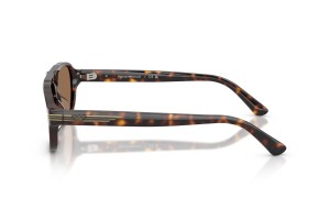 Emporio Armani EA4285U Shiny Havana napszemüveg