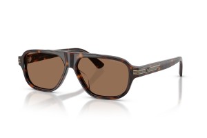 Emporio Armani EA4285U Shiny Havana napszemüveg