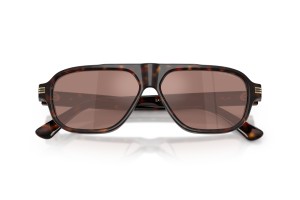 EMPORIO ARMANI EA4285U 64596G - havanna/bordó