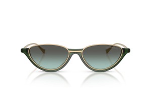 Emporio Armani EA4288U 65002A - zöld átmenetes napszemüveg
