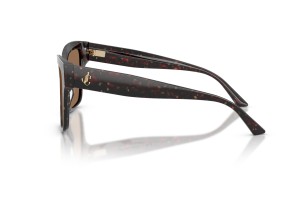JIMMY CHOO JC5003 Dark Havana napszemüveg