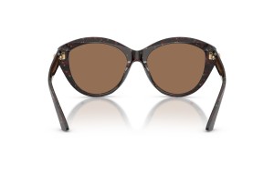 JIMMY CHOO JC5007 Dark Havana napszemüveg
