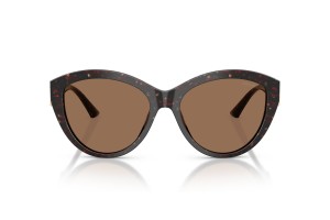 JIMMY CHOO JC5007 Dark Havana napszemüveg