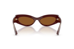 JIMMY CHOO JC5069BU Cranberry sötétbarna napszemüveg