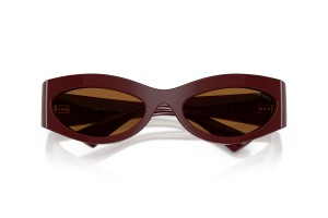 JIMMY CHOO JC5069BU Cranberry sötétbarna napszemüveg
