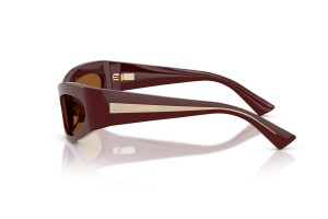JIMMY CHOO JC5069BU Cranberry sötétbarna napszemüveg